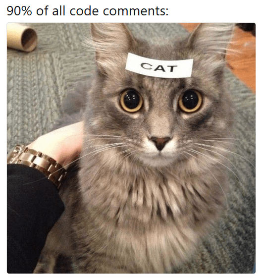 Bild einer Katze mit dem Label Katze auf dem Kopf. Zeigt, wie sinnlos 90 % aller Kommentare sind.